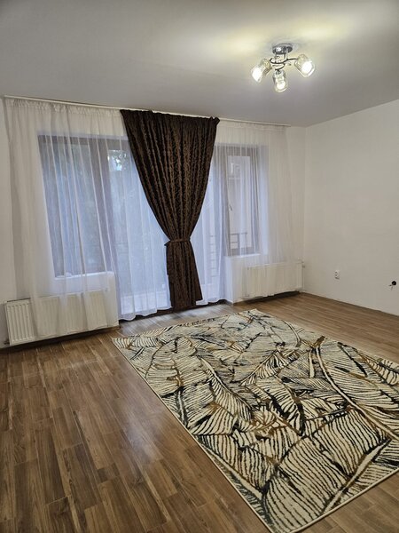 Colentina, Andronache,